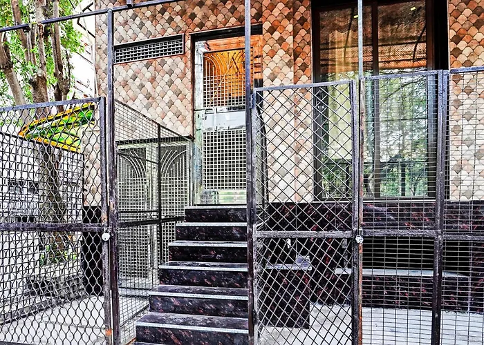 Hotel O Kiiza Stay House