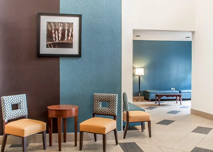 Comfort Inn&Suites Hamburg - Buffalo South