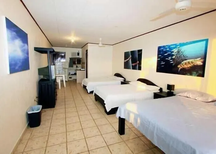Blue Palm Hotel Jaco