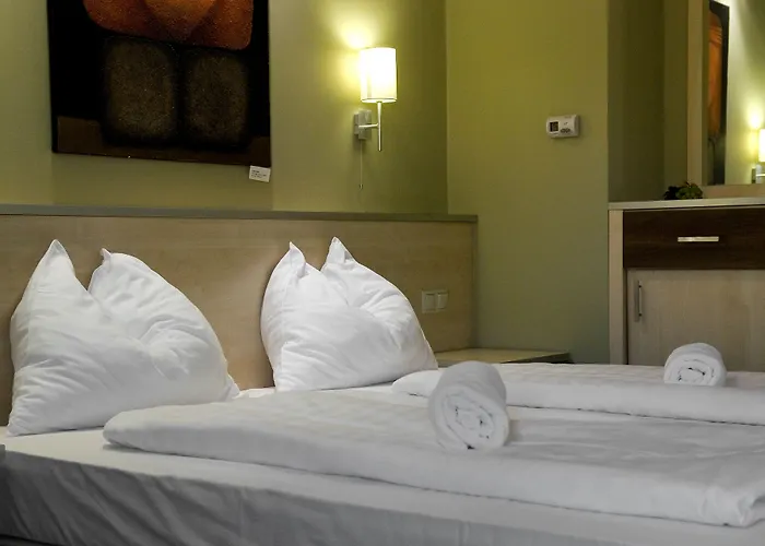 Hotel Vineyard Inn - Szoloskert