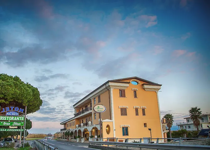 Palmed Hotel