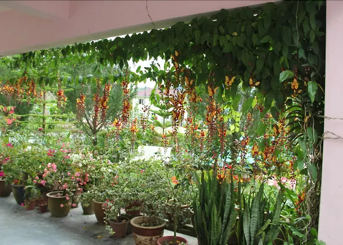 KRS Pines Hotel