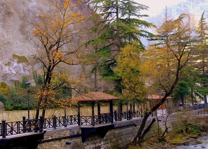 Borjomi Palace Health & Spa Center