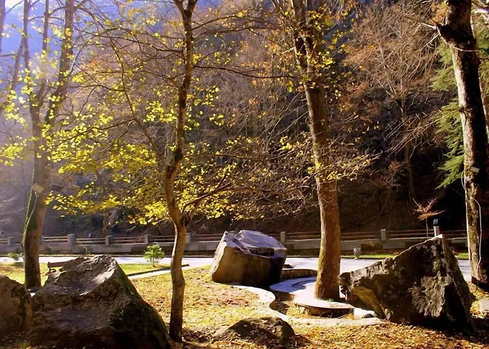 Borjomi Palace Health & Spa Center