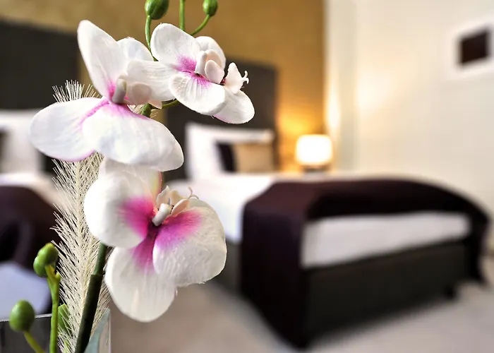 Aplend City Hotel Perugia
