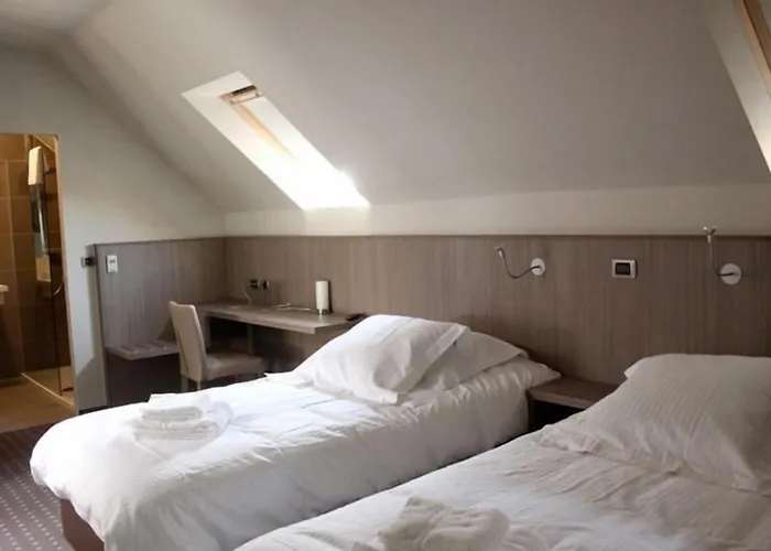 Hotel Otus
