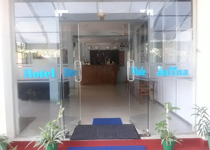 Blue Whale Hotel
