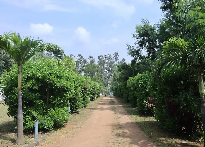 Hampi Blue Moon Resort