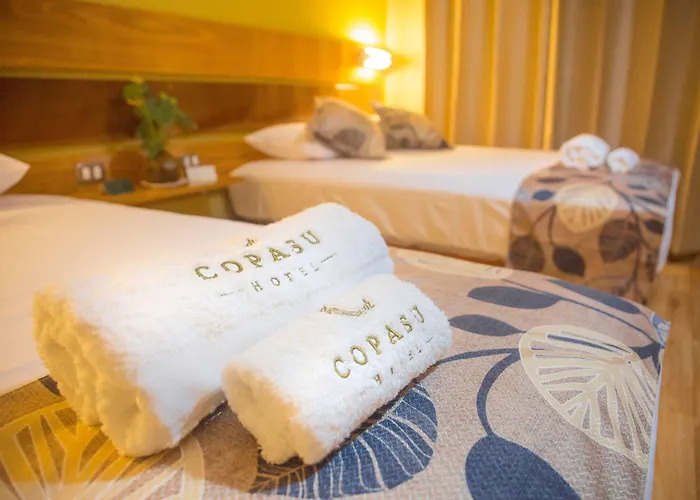 Copasu Hotel