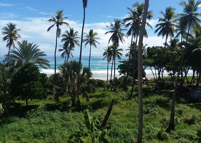 Oasi Encantada - Beach Resort