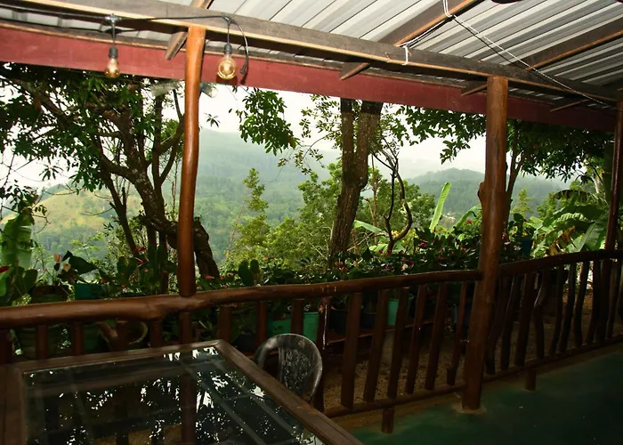 Wonderland View