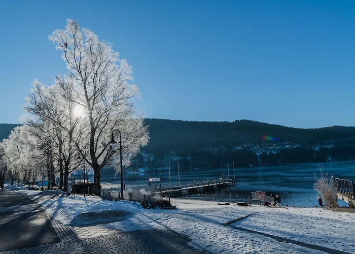Hotel Baeren Titisee