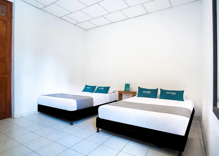 Ayenda Acacia