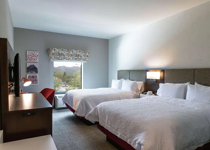 Hampton Inn Black Mountain