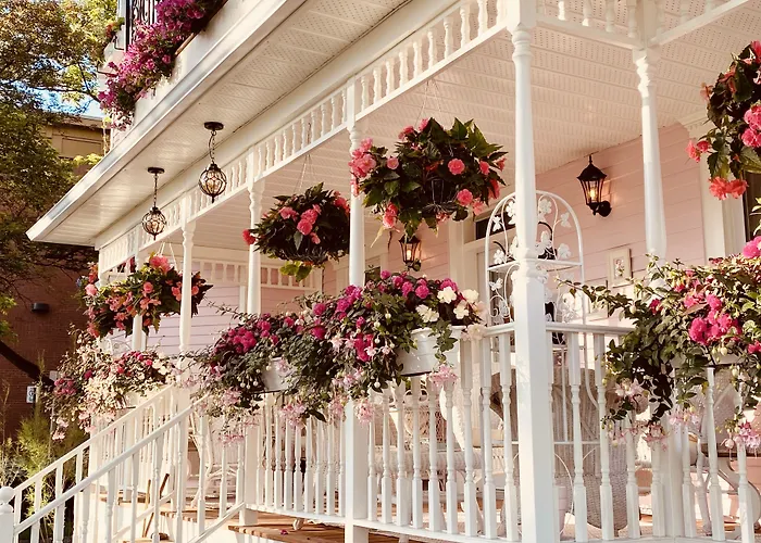 Maison Rose