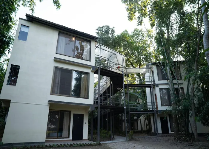 Irroi Kaziranga