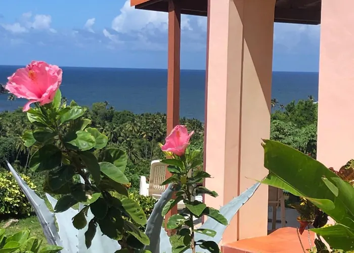 Boutique Oceanview Rooms, Near Vieux Fort Airport