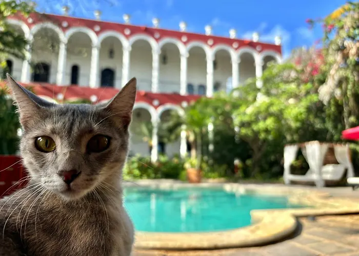 Villa Merida Luxury Mansion - Adults Only Boutique Hotel