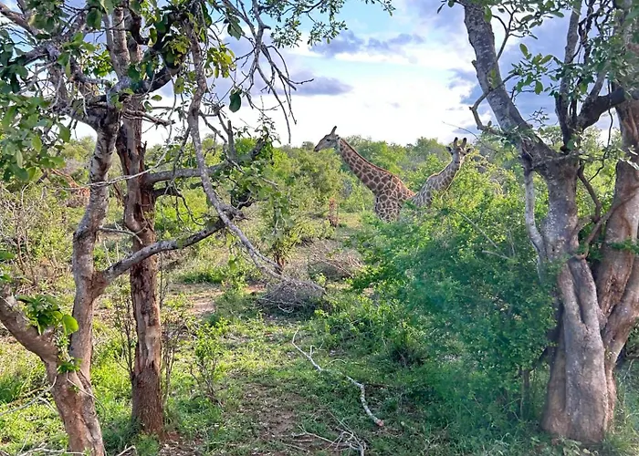 Woodpecker'S Guest House