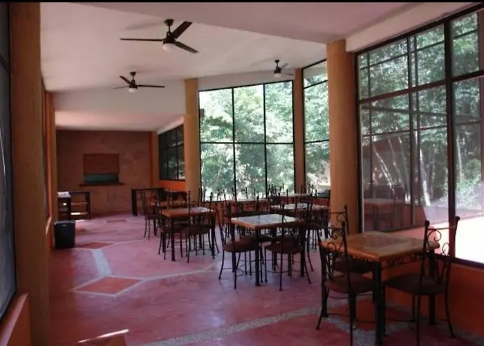 Canto De La Selva