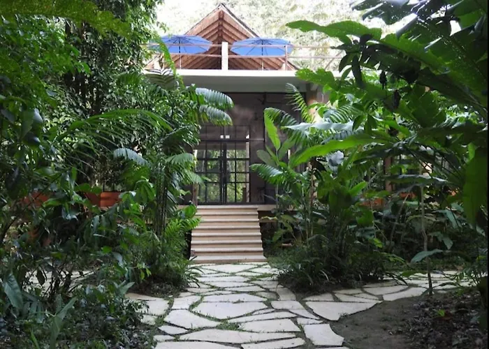 Canto De La Selva