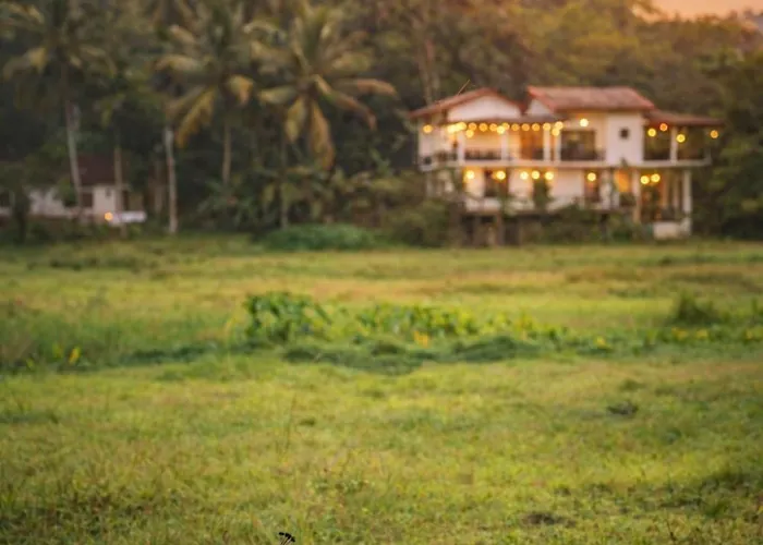 Wildlife Kingdom - Deniyaya Sinharaja