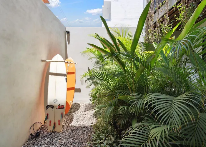 Alma Surf Lodge
