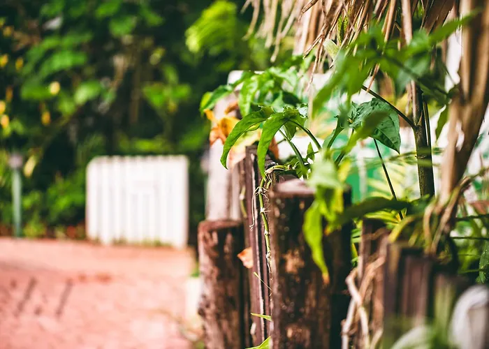 Kariwak Wellness Village, Hotel And Holistic Haven