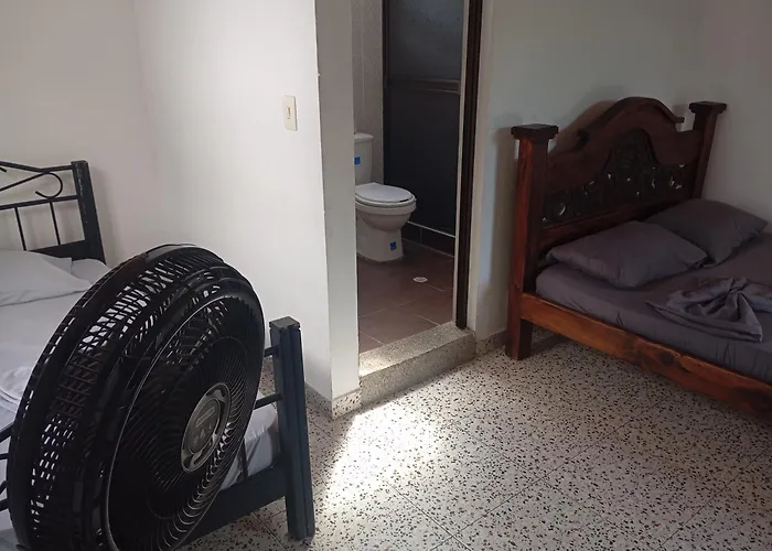 Narü extremo
