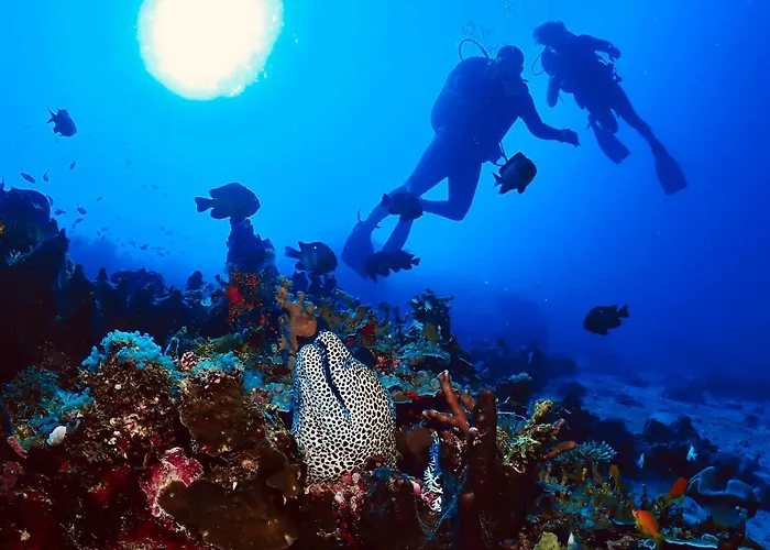 Afro Divers Lodge