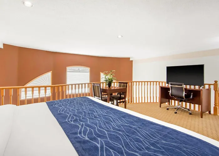 Comfort Inn & Suites Medicine Hat