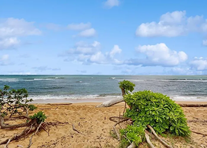 Islander On The Beach 370