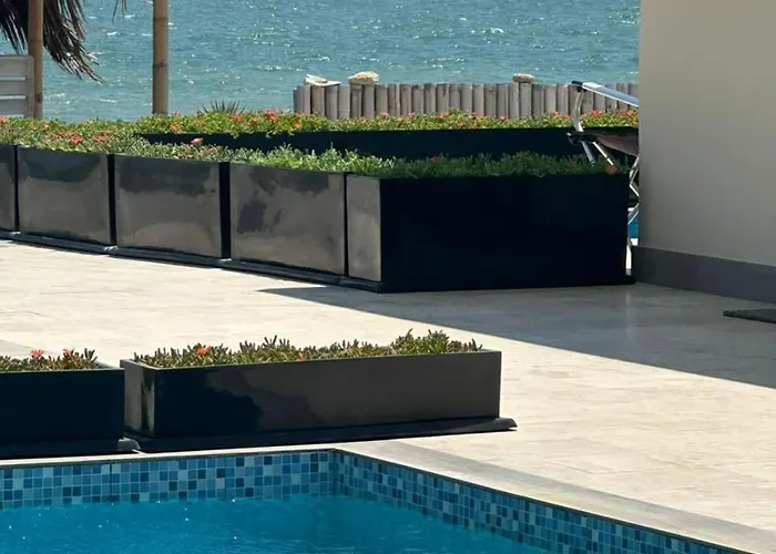 Riviera Vichayito