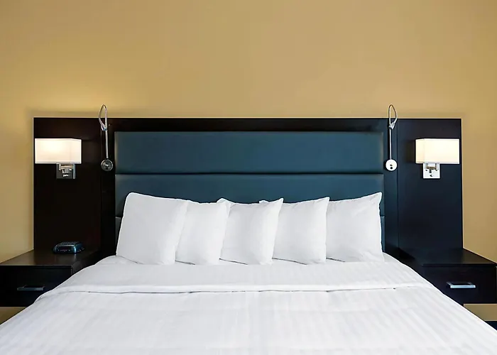 Hotel 1550 - Sfo Airport Free Shuttle