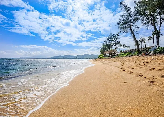 Islander On The Beach 354