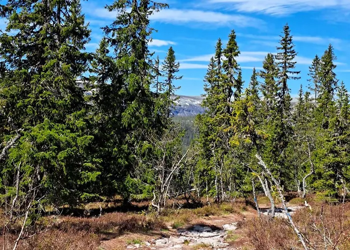 Kjolen Hotel Trysil