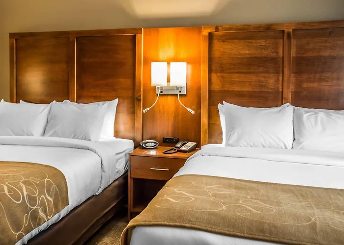 Comfort Suites Hartville-North Canton Uniontown