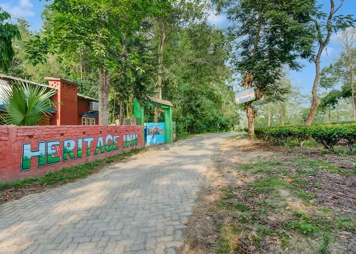 Hotel O Heritage Nest Resort Kazirnga
