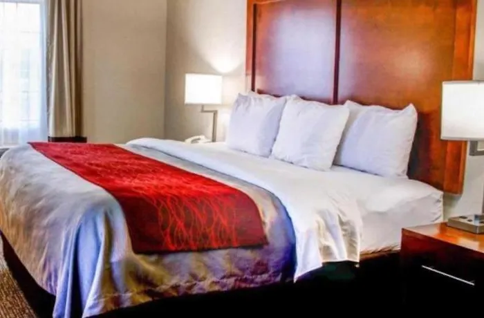 Comfort Inn Bessemer Birmingham South