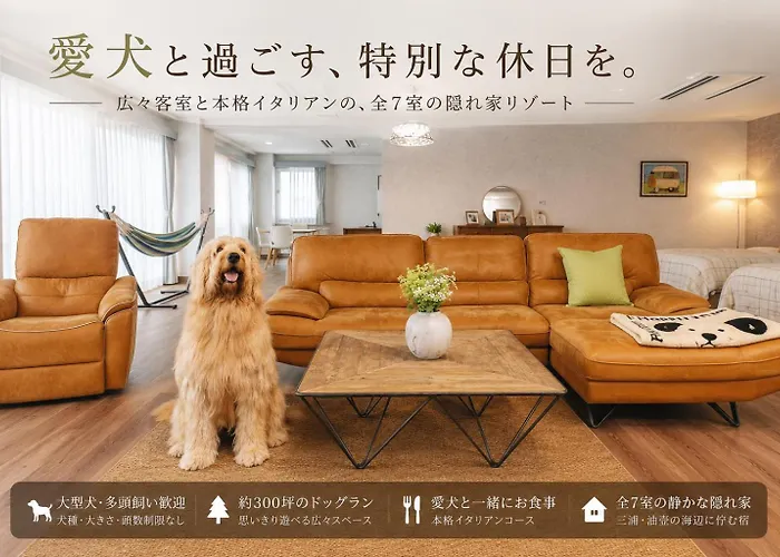 Dokidoggie油壺globe