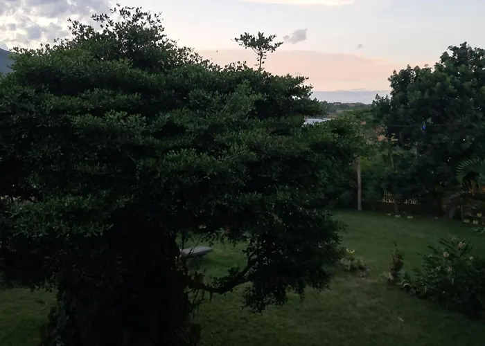 Hotel Anjara