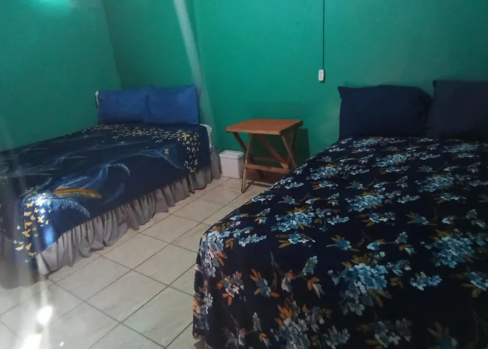 Private Rooms, Dayly Tours , Rental Scooter