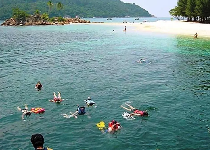 D'Coconut Lagoon