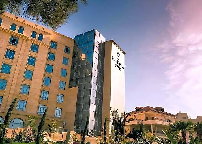 Olive Tree Amman