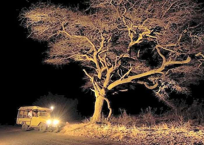 Severin Safari Camp