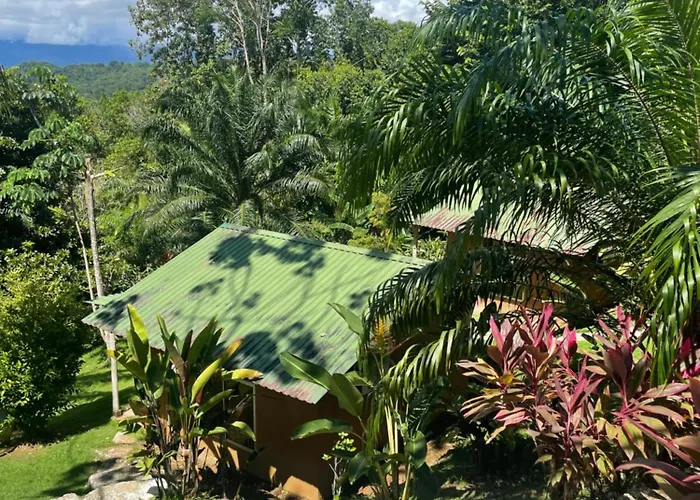 Hotel Mirador Osa