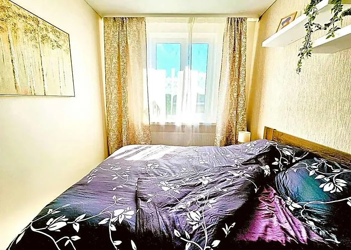 Cofy Rentals, A/C, Free Parking, Online Check-In!