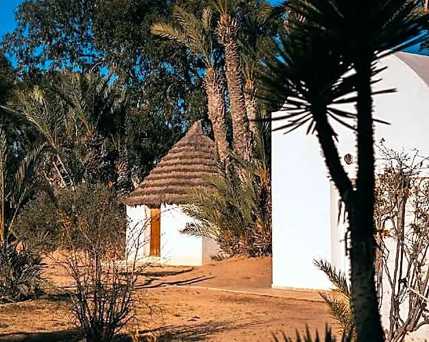 Menezel Jerba
