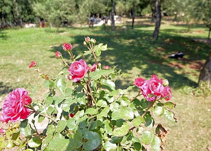 Hotel Natura Vilanija