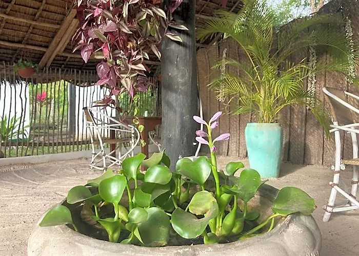 Botanica Eco Lodge